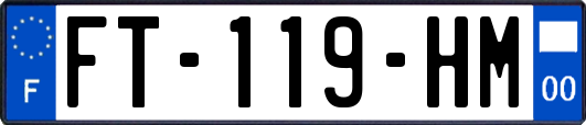 FT-119-HM