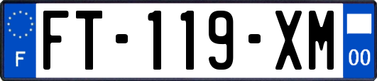 FT-119-XM