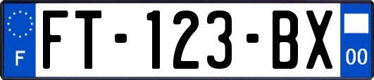 FT-123-BX