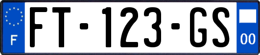 FT-123-GS