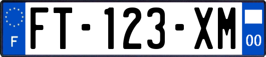 FT-123-XM