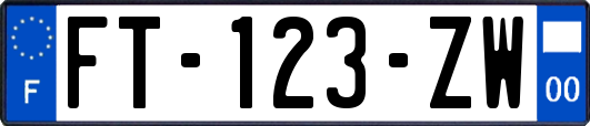 FT-123-ZW