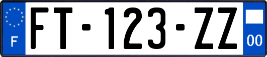 FT-123-ZZ