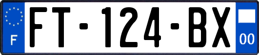 FT-124-BX