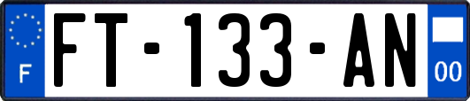 FT-133-AN