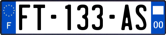 FT-133-AS