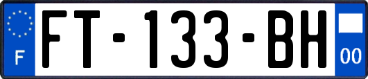 FT-133-BH