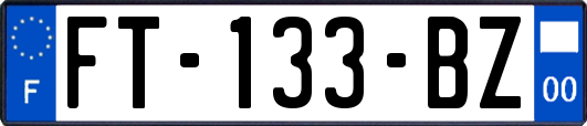 FT-133-BZ