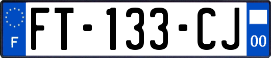 FT-133-CJ