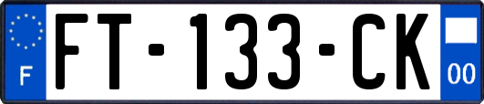 FT-133-CK