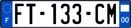 FT-133-CM