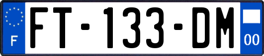 FT-133-DM