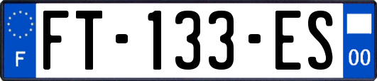 FT-133-ES