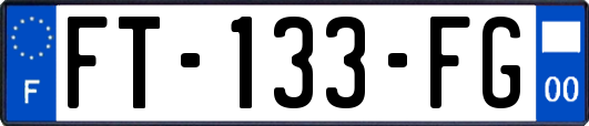 FT-133-FG