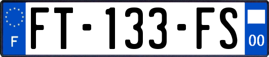 FT-133-FS