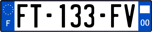 FT-133-FV