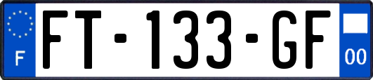 FT-133-GF