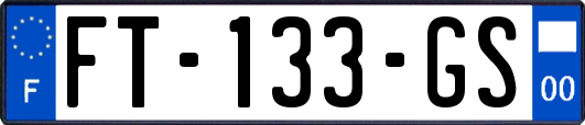 FT-133-GS