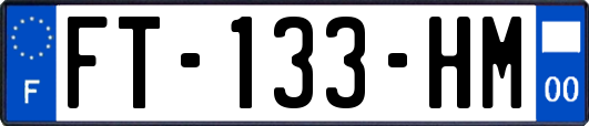 FT-133-HM