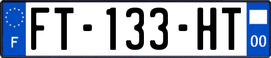 FT-133-HT