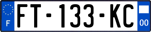 FT-133-KC