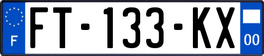 FT-133-KX