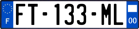 FT-133-ML