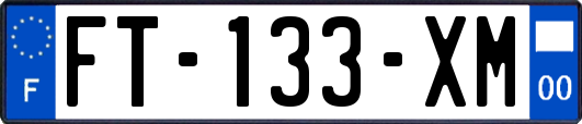 FT-133-XM