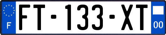 FT-133-XT