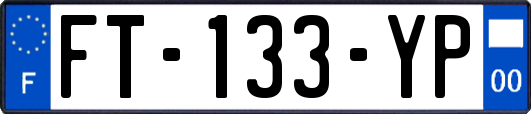FT-133-YP