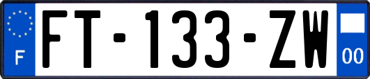 FT-133-ZW