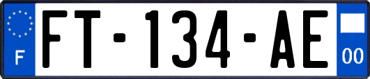 FT-134-AE