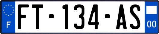 FT-134-AS