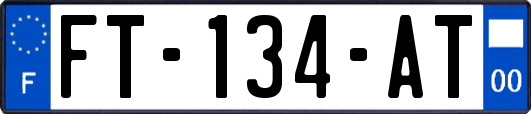 FT-134-AT