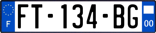 FT-134-BG