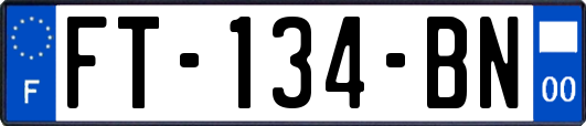 FT-134-BN