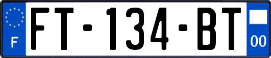 FT-134-BT