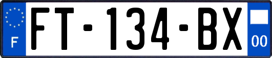 FT-134-BX