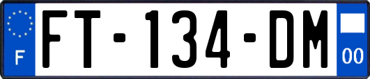 FT-134-DM