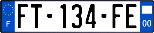 FT-134-FE