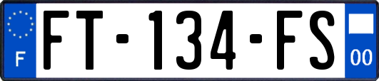 FT-134-FS