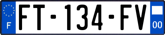 FT-134-FV