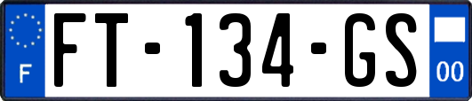 FT-134-GS