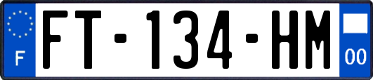 FT-134-HM
