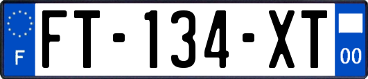 FT-134-XT