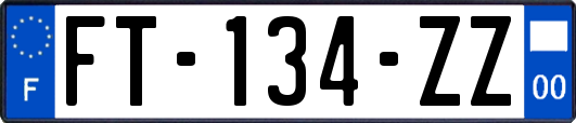 FT-134-ZZ