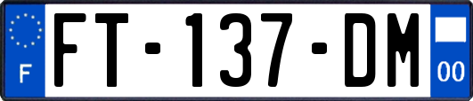 FT-137-DM