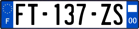 FT-137-ZS