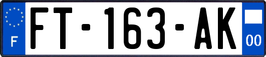 FT-163-AK