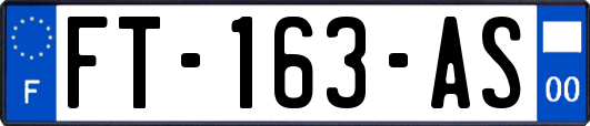 FT-163-AS